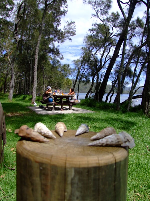 Travel - Australia - Dery Pictures Bush Party - The Lake near Forster